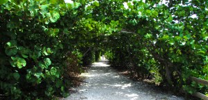 Bahia Honda State Park